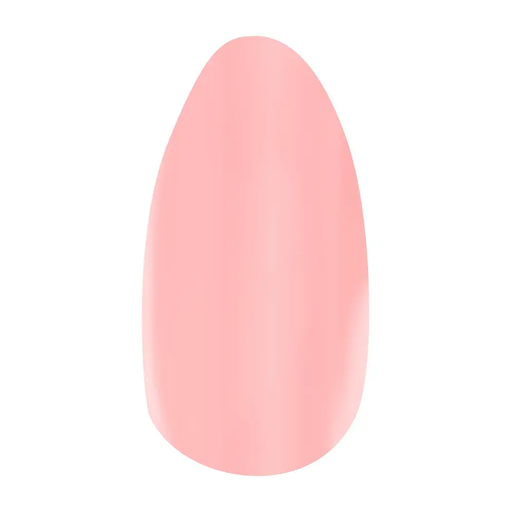 Big Blush - Image 7
