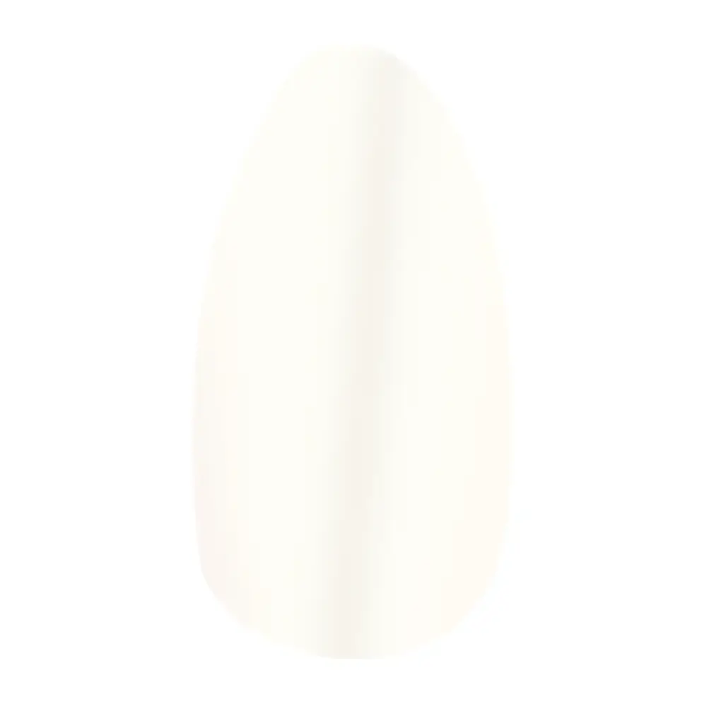 Coconut Crisp - Image 6